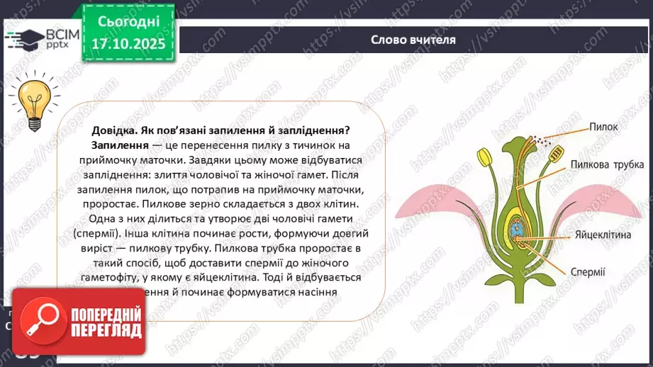 №025 - Покритонасінні рослини: пристосування до життя на суходолі, суцвіття, запилення й запліднення.21 №025 - Покритонасінні рослини: пристосування до життя на суходолі, суцвіття, запилення й запліднення.21
