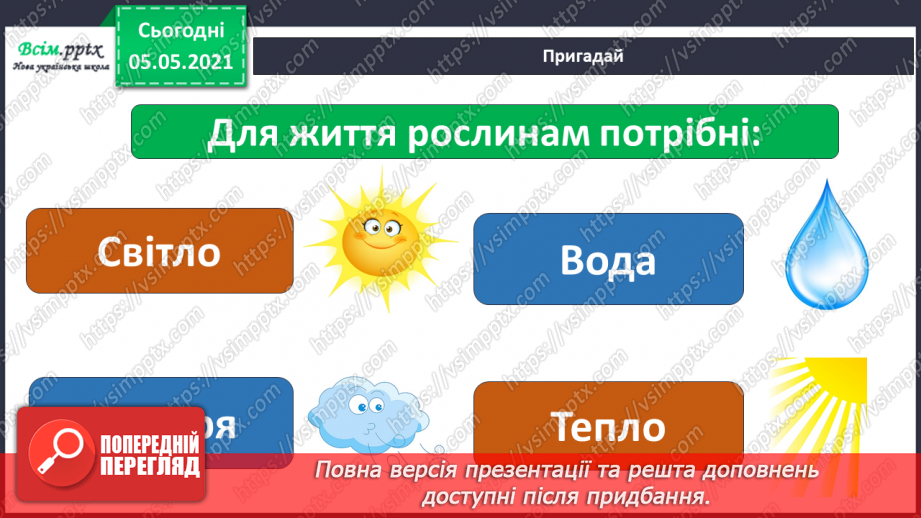 №036 - Квіткові рослини.14