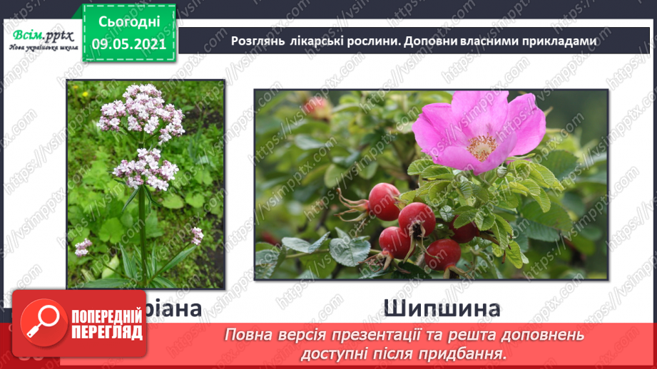 №053 - На які групи поділяють культурні рослини?8 №053 - На які групи поділяють культурні рослини?8