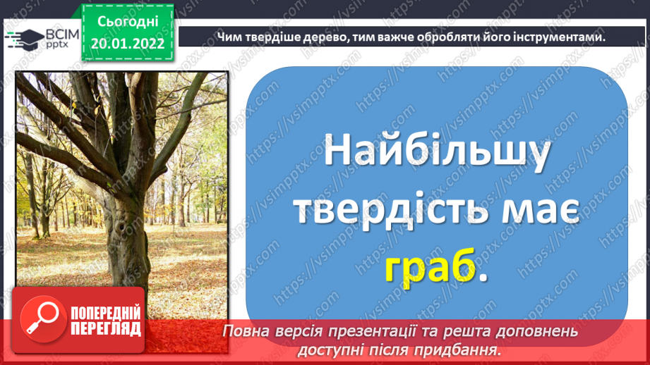 №20 - Інструктаж з БЖ. Працюємо з деревиною7 №20 - Інструктаж з БЖ. Працюємо з деревиною7