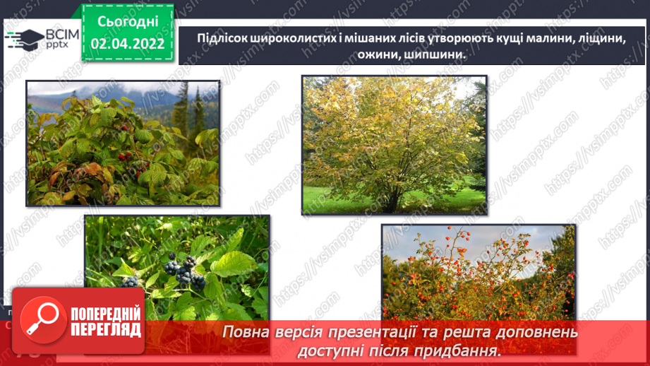 №082 - Українські Карпати8 №082 - Українські Карпати8