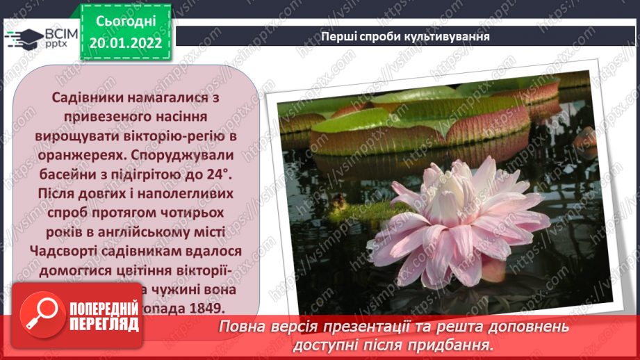 №20 - Інструктаж з БЖ.   Проєкт «Водяна красуня»5 №20 - Інструктаж з БЖ.   Проєкт «Водяна красуня»5
