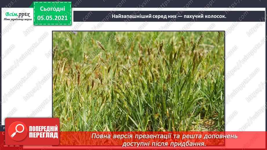 №095 - Ясніє в кожній квітці дивина.16 №095 - Ясніє в кожній квітці дивина.16