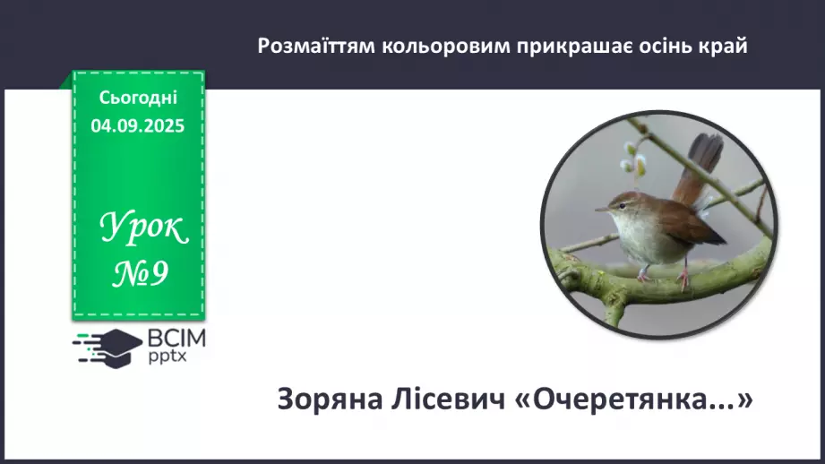 №009 - Зоряна Лісевич. «Очеретянка...».0 №009 - Зоряна Лісевич. «Очеретянка...».0
