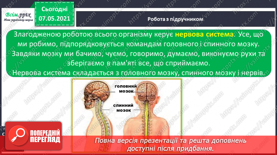 №060 - Що таке нервова система.5 №060 - Що таке нервова система.5