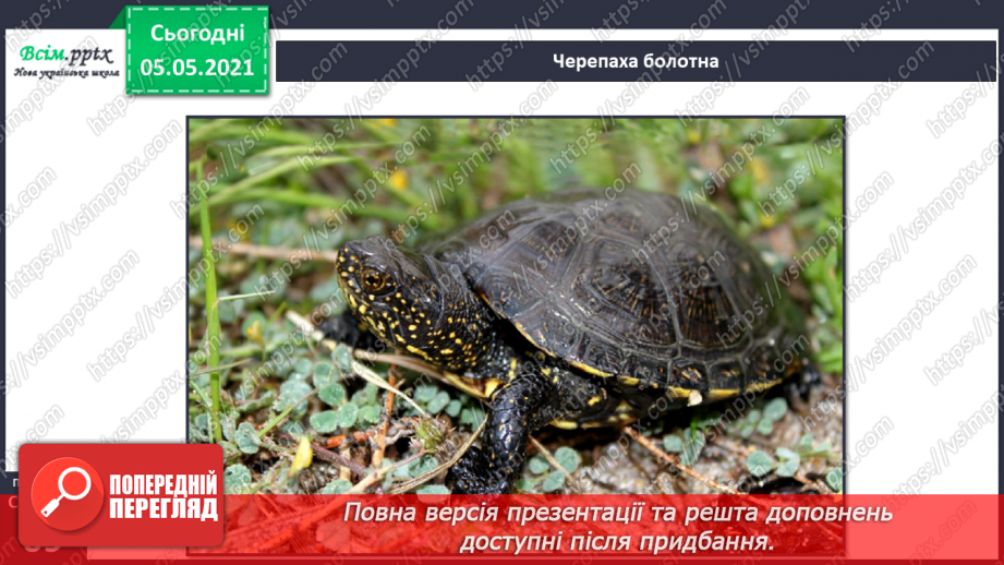 №044 - Різноманітність тварин у природі. Плазуни15 №044 - Різноманітність тварин у природі. Плазуни15