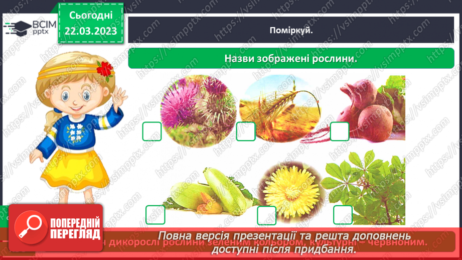 №0086 - Рослини рідного краю13 №0086 - Рослини рідного краю13