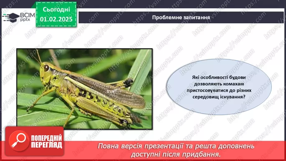 №57 - Комахи (продовження).19 №57 - Комахи (продовження).19