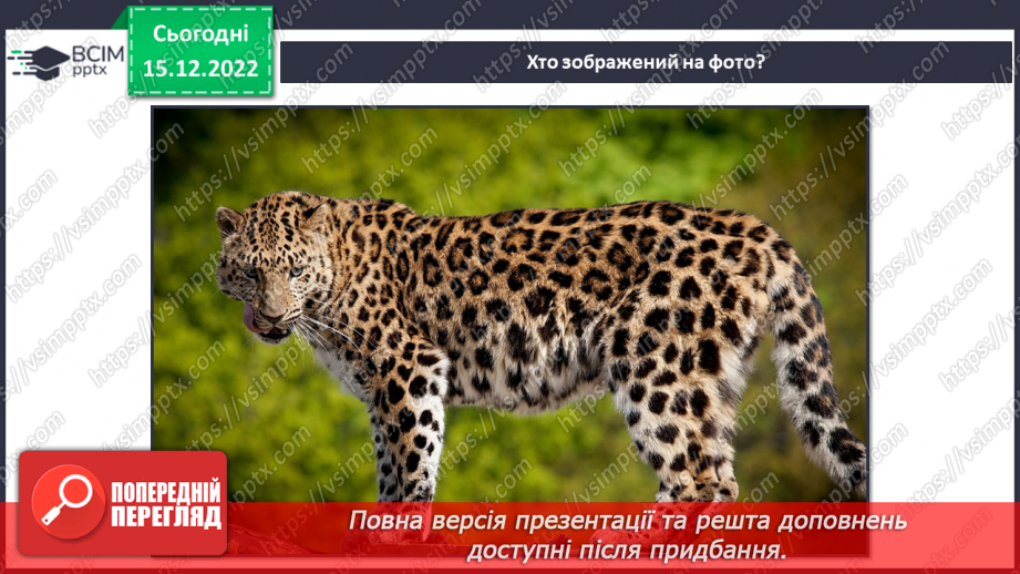 №18 - Леопардик і тиргик. Робота з папером. Згинання і складання паперу. Виготовлення леопардика або тигрика в техніці оригамі за зразком.5