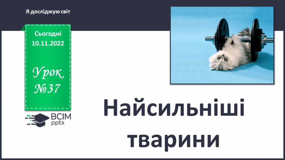 №037 - Найсильніші тварини.0