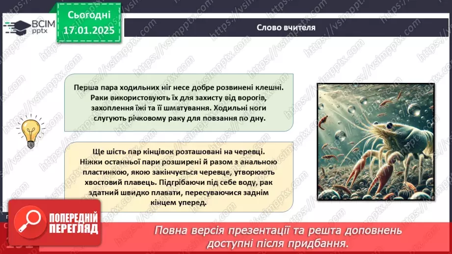 №55 - Членистоногі - безхребетні тварини із зовнішнім скелетом. Ракоподібні.16