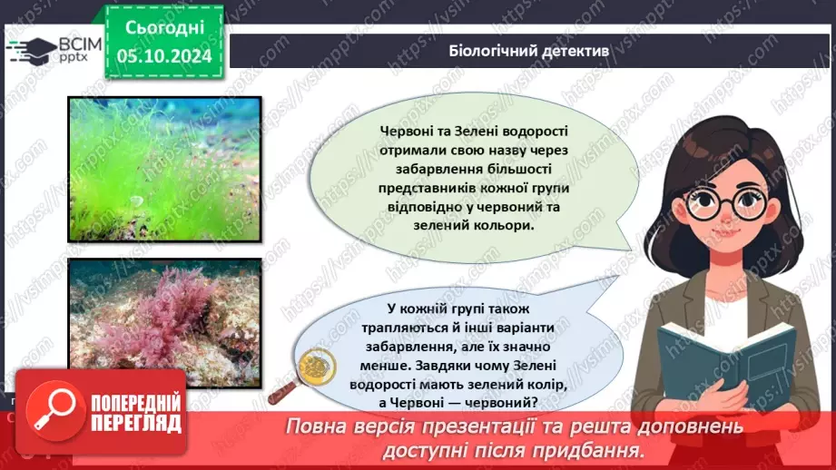 №19 - Зелені та Червоні водорості.3 №19 - Зелені та Червоні водорості.3