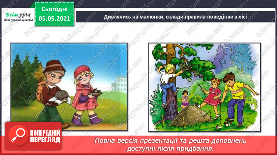 №050 - Природні угруповання. Природне угруповання — ліс.32