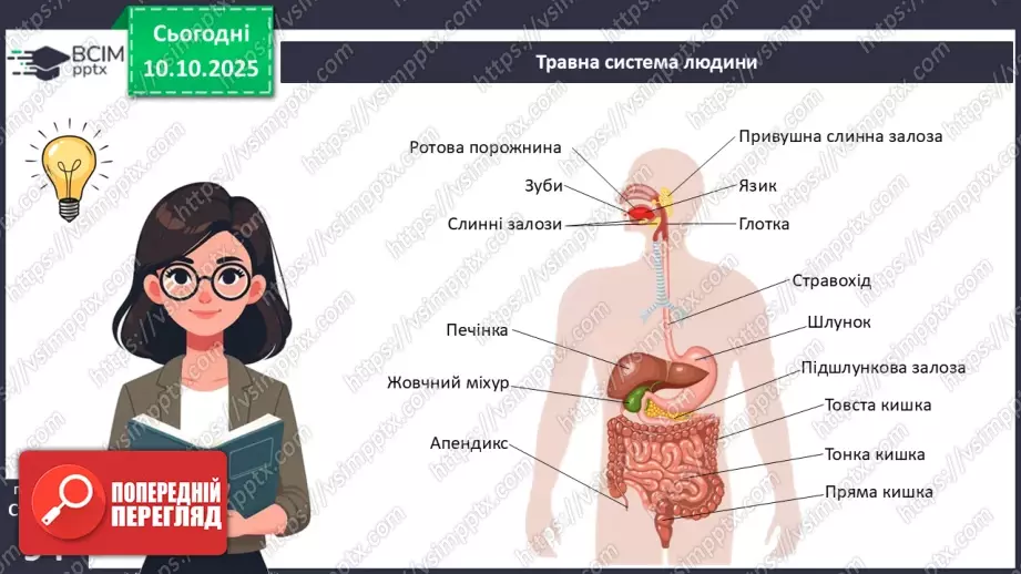 №023 - Будова й функції травної системи людини. Травлення в ротовій порожнині та шлунку.5 №023 - Будова й функції травної системи людини. Травлення в ротовій порожнині та шлунку.5