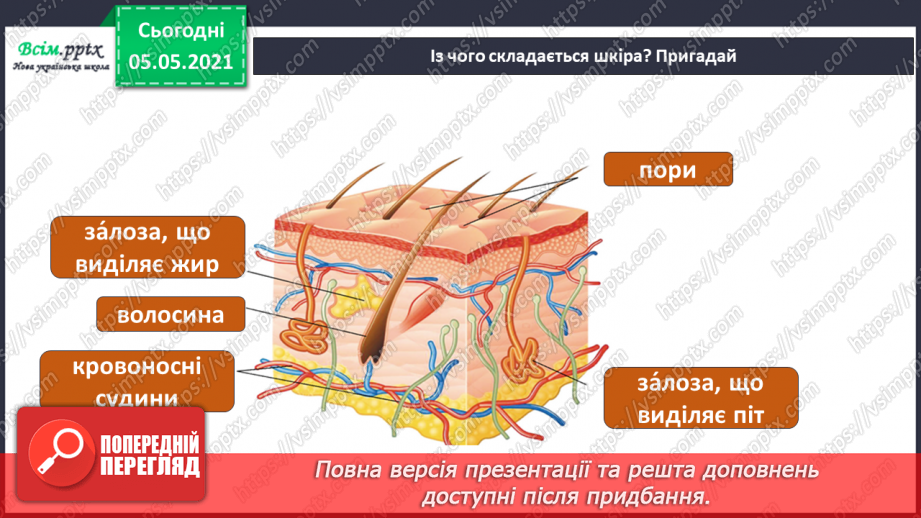 №055 - Бережи шкіру від пошкоджень!4 №055 - Бережи шкіру від пошкоджень!4