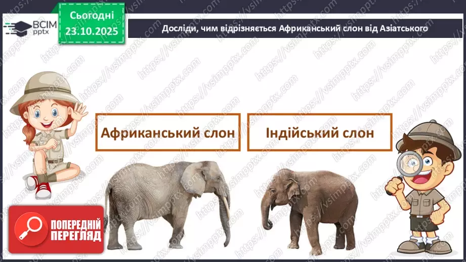 №030 - Тварини Азії15 №030 - Тварини Азії15