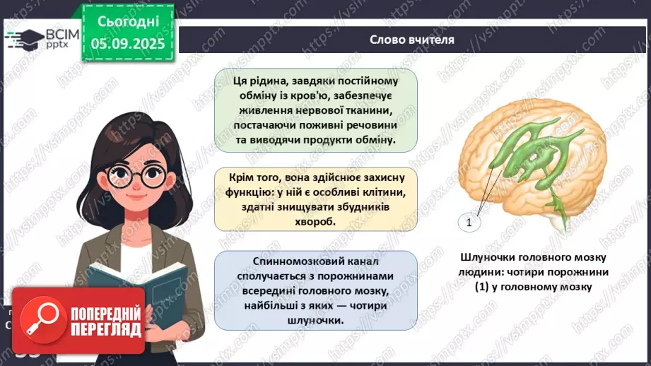 №008 - Будова нервової системи15 №008 - Будова нервової системи15