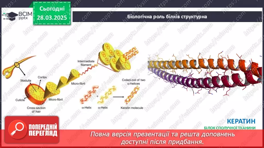 №29-30 - Білки.20 №29-30 - Білки.20