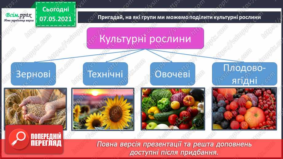 №048 - Узагальнення і систематизація знань учнів. Діагностична робота з тем «Різноманітність рослин і тварин». Підсумок за семестр.12