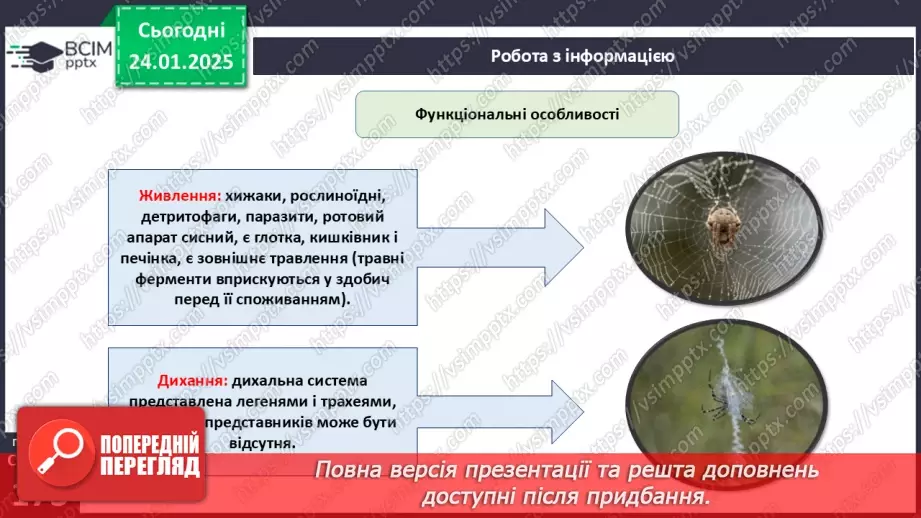 №55 - Павукоподібні.9 №55 - Павукоподібні.9