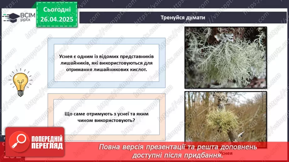 №79 - Лишайники.6 №79 - Лишайники.6