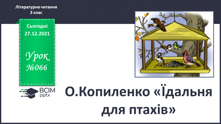 №066 - О.Копиленко «Їдальня для птахів».0