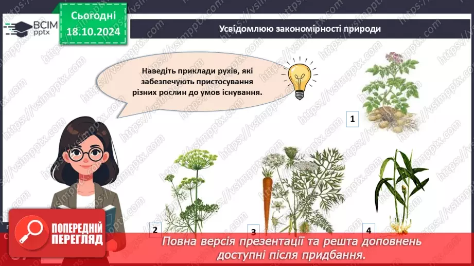 №27 - Узагальнення вивченого з теми «Характерні риси та будова вищих рослин».8