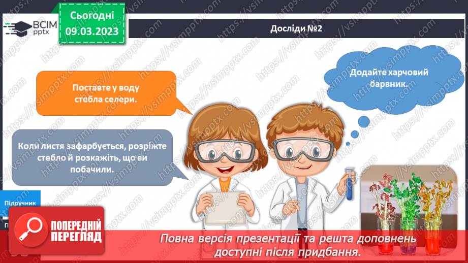№081 - Чарівне листя рослин. Досліджуємо рослини.11