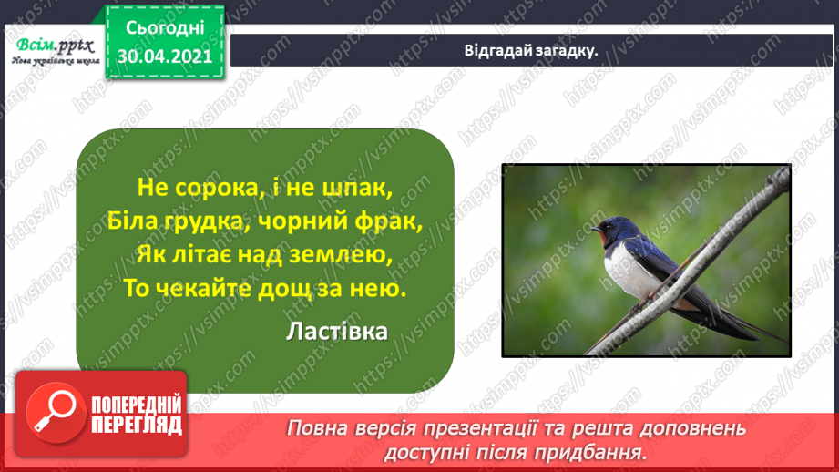 №109 - Розвиток зв’язного мовлення. Переказую текст. Дружні шпаки (За Наталею Забілою)5