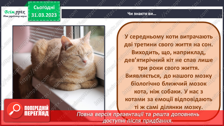 №30 - Створення образа Рудого кота в техніці оригамі.5 №30 - Створення образа Рудого кота в техніці оригамі.5