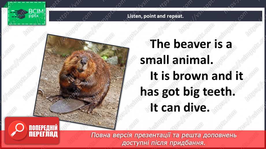 №056 - Animals. Story time12