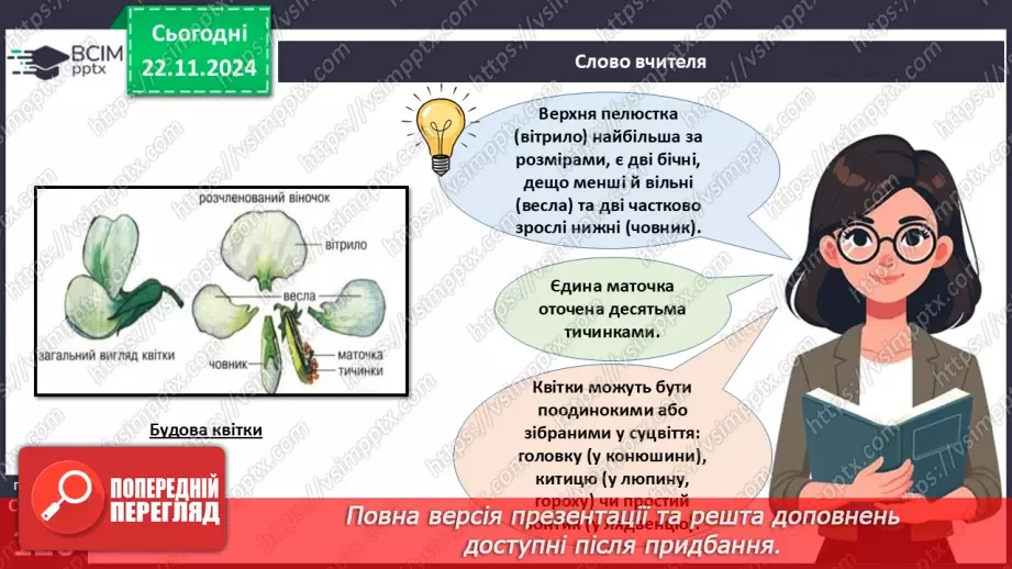 №37 - Різноманітність покритонасінних (квіткових) рослин.15