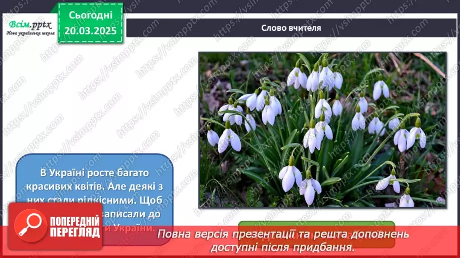 №28 - Квіткові фантазії6 №28 - Квіткові фантазії6