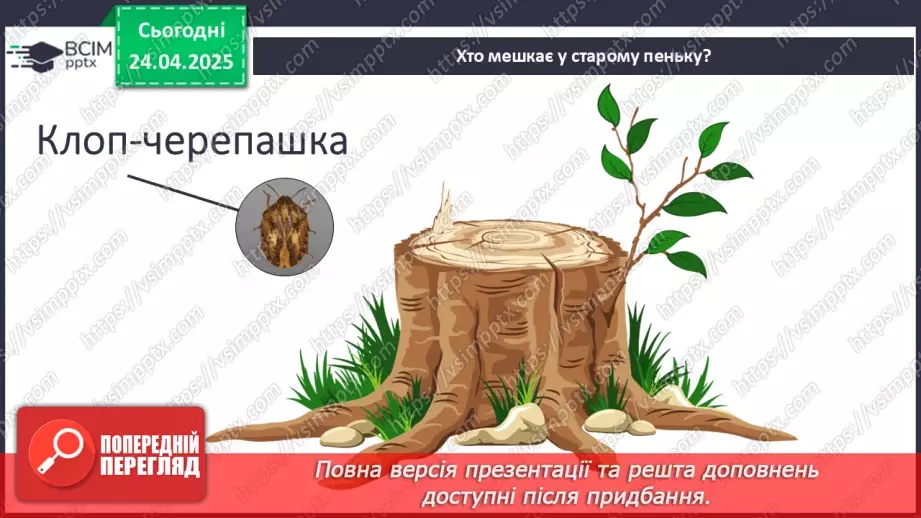 №0094 - Проект «Хто мешкає у старому пеньку?12 №0094 - Проект «Хто мешкає у старому пеньку?12