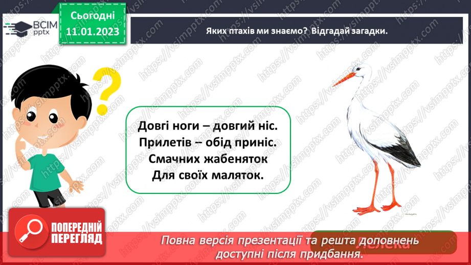 №0057 - Птахи9