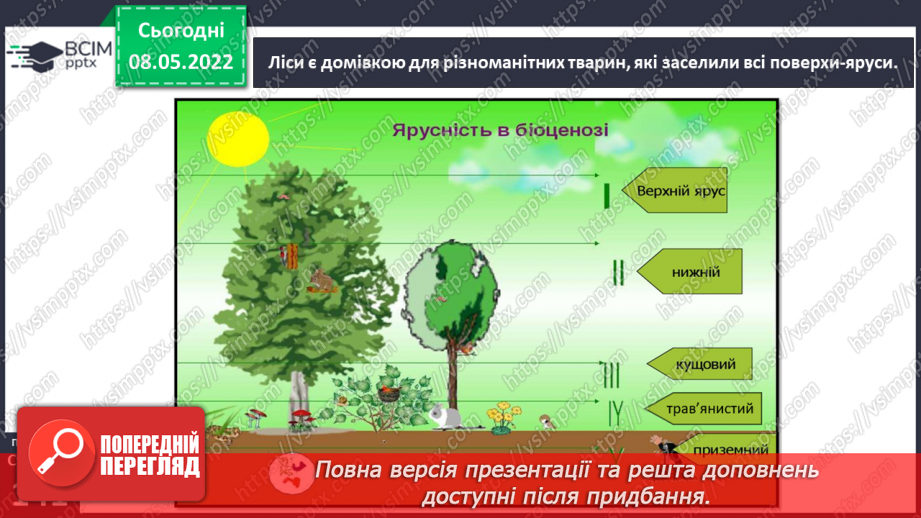 №100 - Чому ліси вважають оберегами природи?15