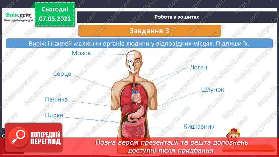 №049 - Яку будову має наше тіло30 №049 - Яку будову має наше тіло30