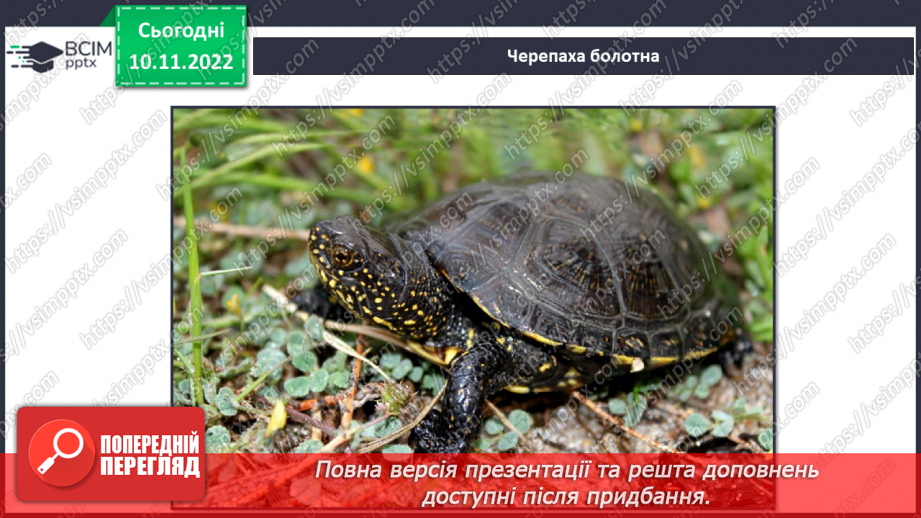 №038 - Риби, земноводні та плазуни.27 №038 - Риби, земноводні та плазуни.27