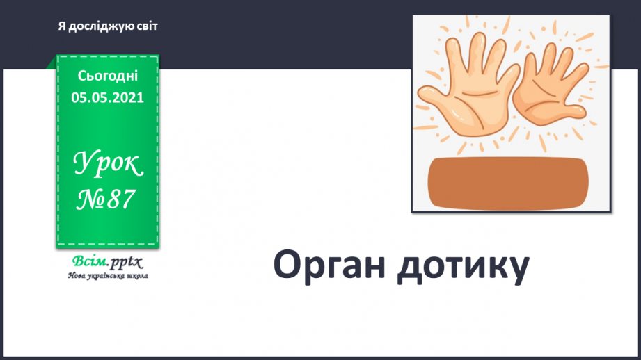 №087 - Орган дотику.0