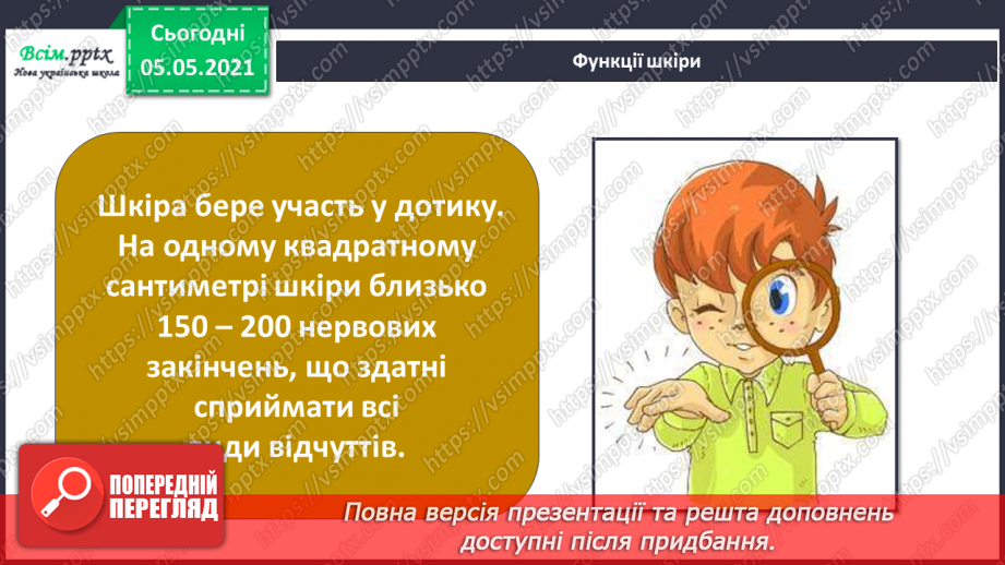 №054 - Функції шкіри.16 №054 - Функції шкіри.16