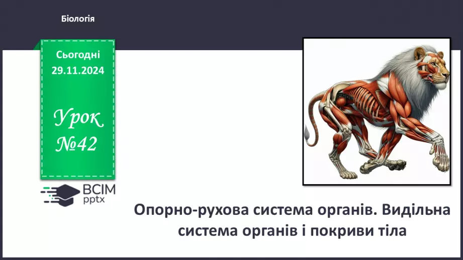 №42 - Опорно-рухова система. Видільна система органів і покриви тіла.0 №42 - Опорно-рухова система. Видільна система органів і покриви тіла.0