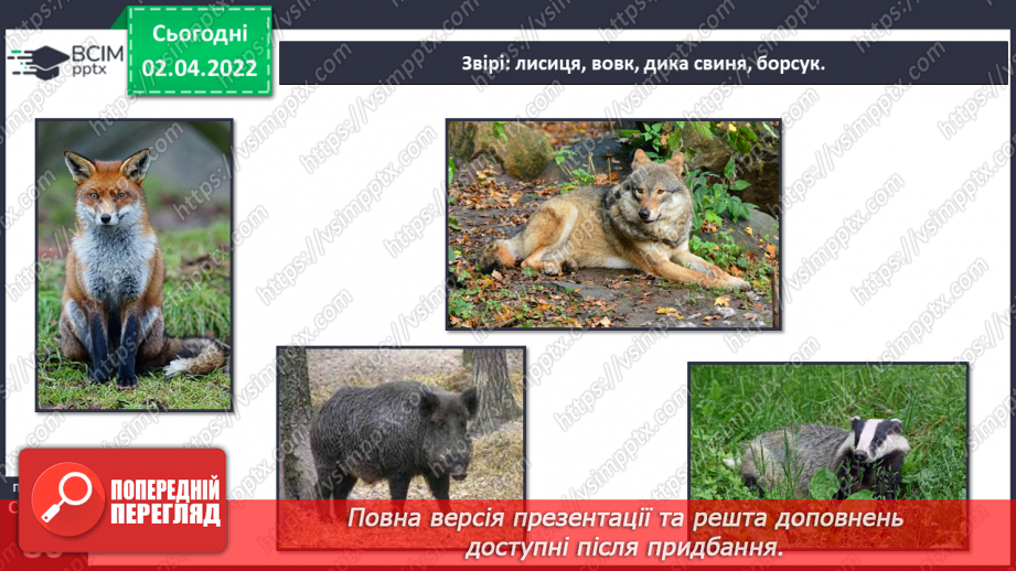 №082 - Українські Карпати16 №082 - Українські Карпати16