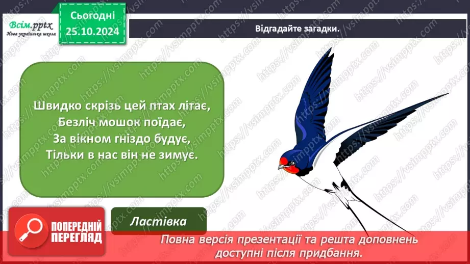 №10 - Різнобарв’я голосів оркестру Силует.3