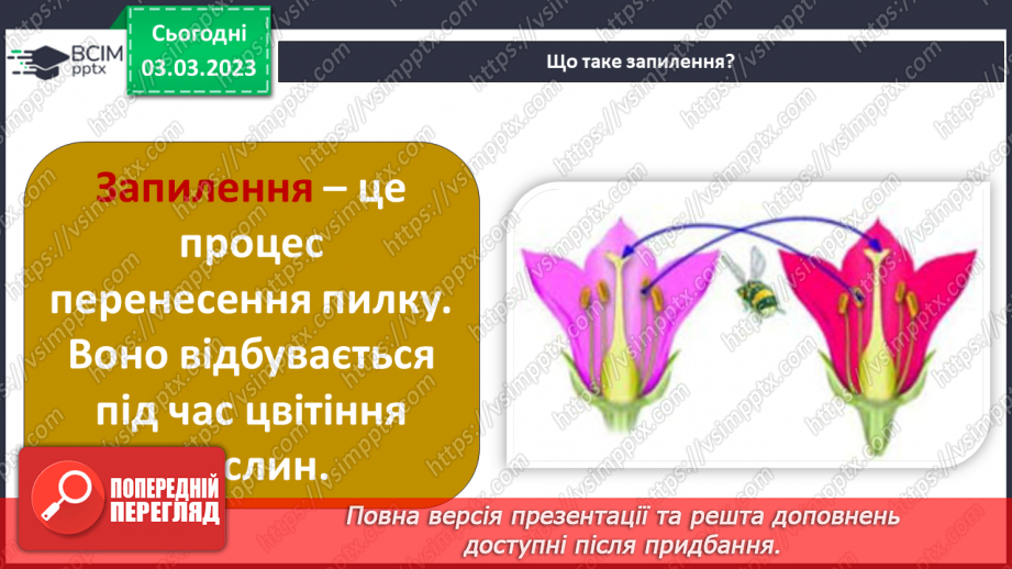 №51 - Узагальнення розділу «Клітини, бактерії, віруси, гриби, рослини і тварини».17