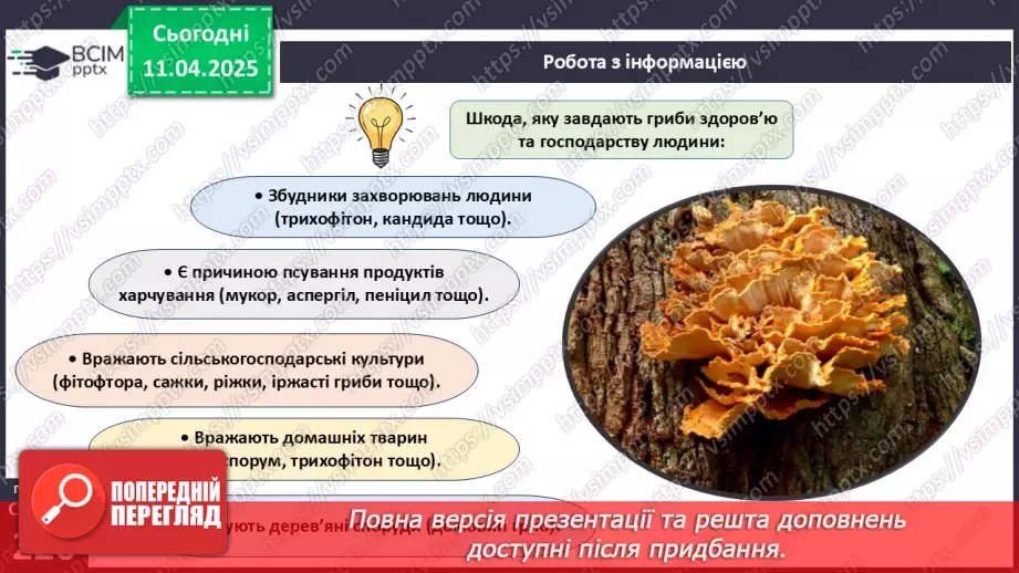 №76 - Значення грибів у природі. Паразитичні гриби.20 №76 - Значення грибів у природі. Паразитичні гриби.20