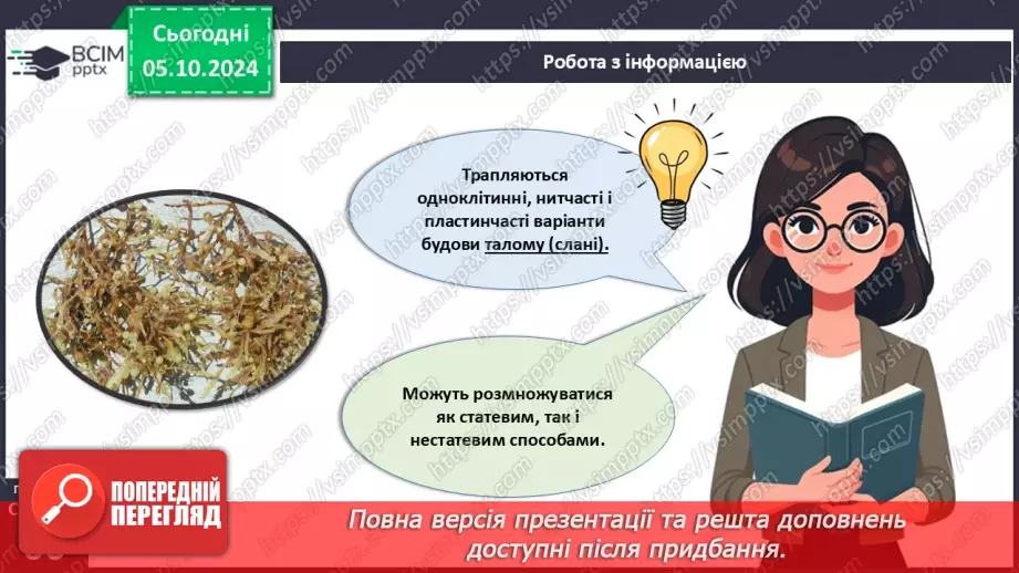 №19 - Зелені та Червоні водорості.20 №19 - Зелені та Червоні водорості.20