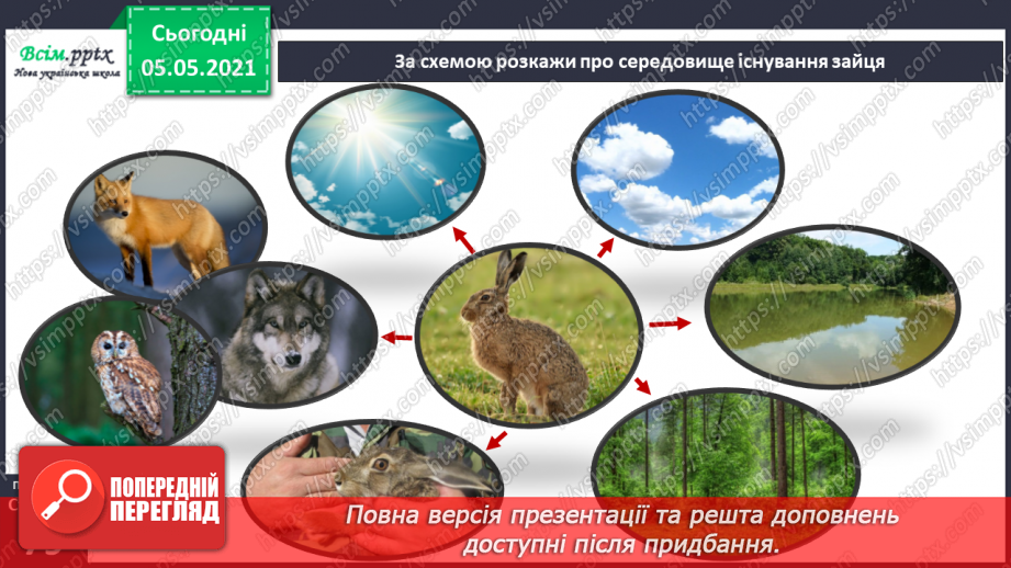 №050 - Природні угруповання. Природне угруповання — ліс.27