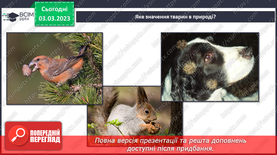 №51 - Узагальнення розділу «Клітини, бактерії, віруси, гриби, рослини і тварини».35
