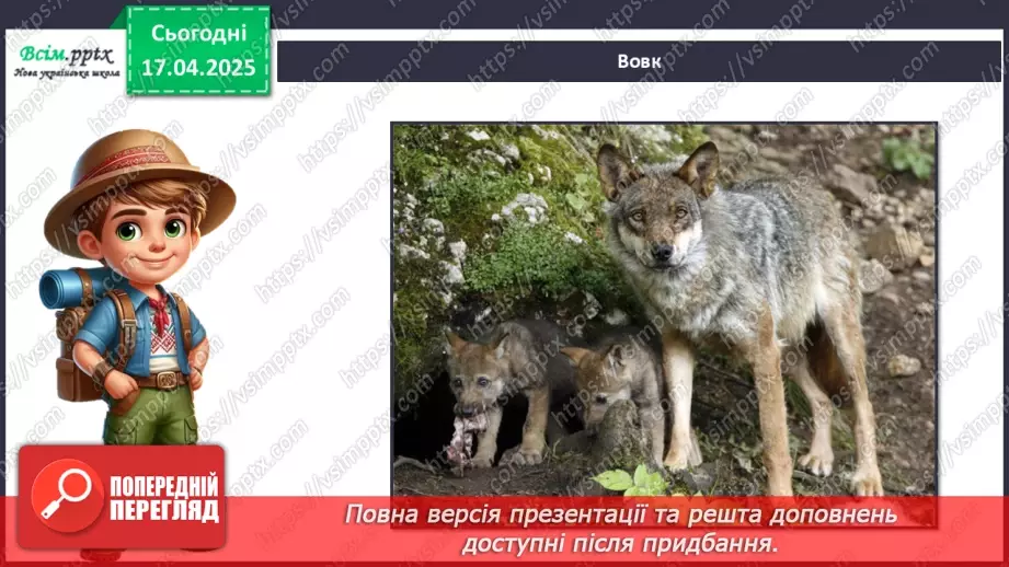 №0093 - Які турботи у тварин улітку7