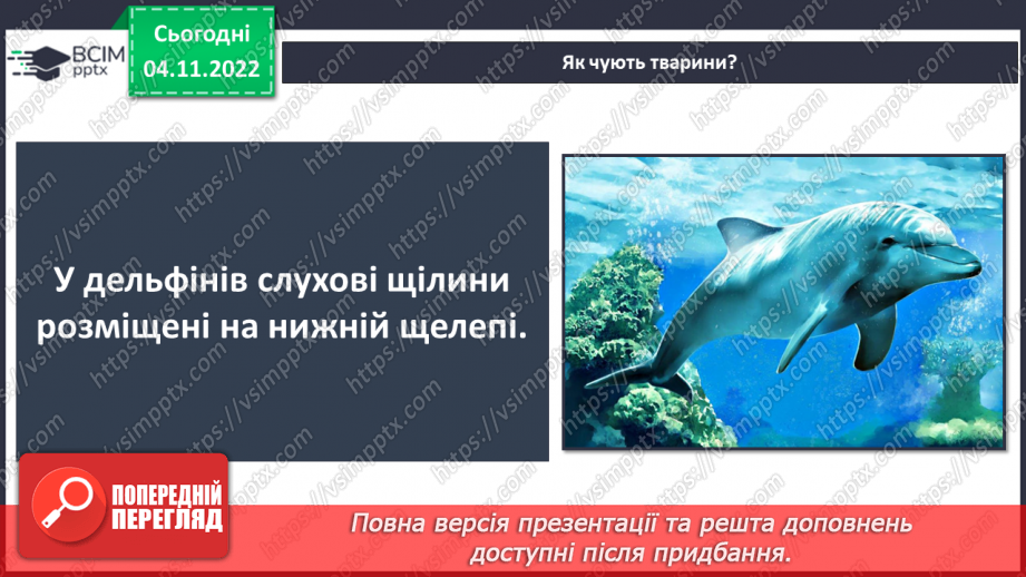 №23 - Чим важливі звукові явища у природі та житті людини. Виникнення звуку та його поширення на відстані.13 №23 - Чим важливі звукові явища у природі та житті людини. Виникнення звуку та його поширення на відстані.13